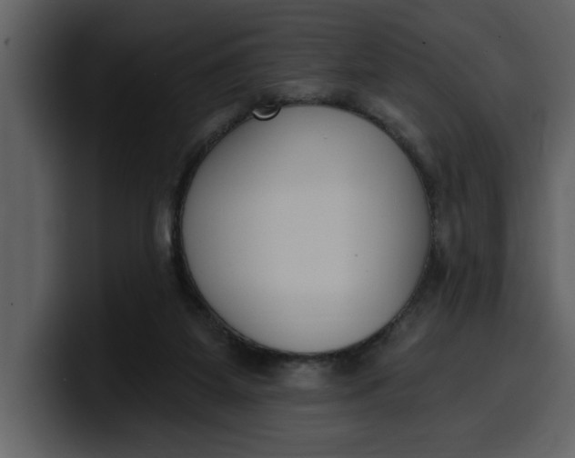 X0000100320115200806191011