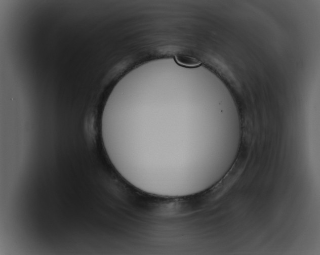 X0000100320116200806191011