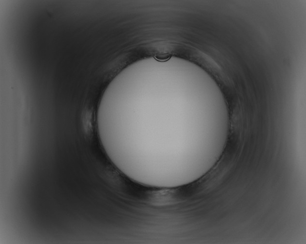 X0000100320122200806191011