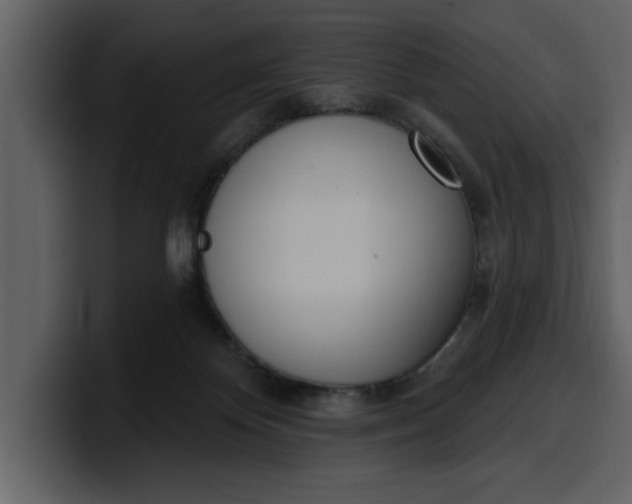 X0000100320124200806191011