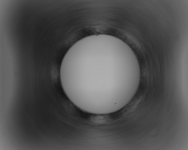 X0000100320129200806191011