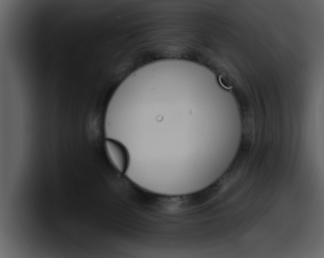 X0000100320131200806191011