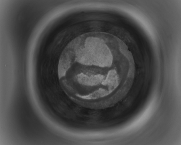 X0000100320143200806191011