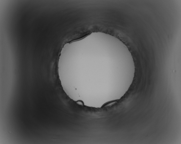 X0000100320144200806191011