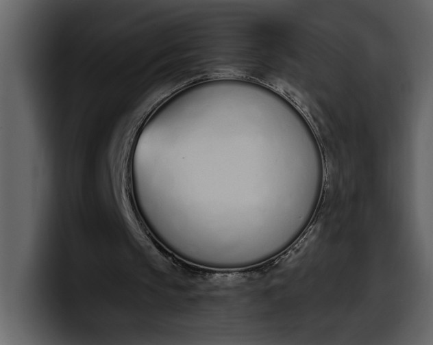 X0000100320145200806191010