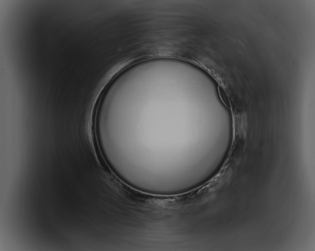 X0000100320147200806191010