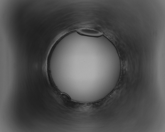 X0000100320148200806191010