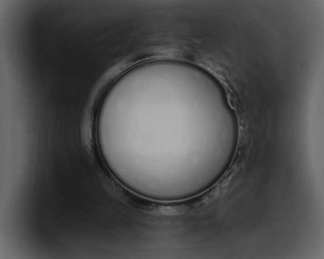 X0000100320149200806191010