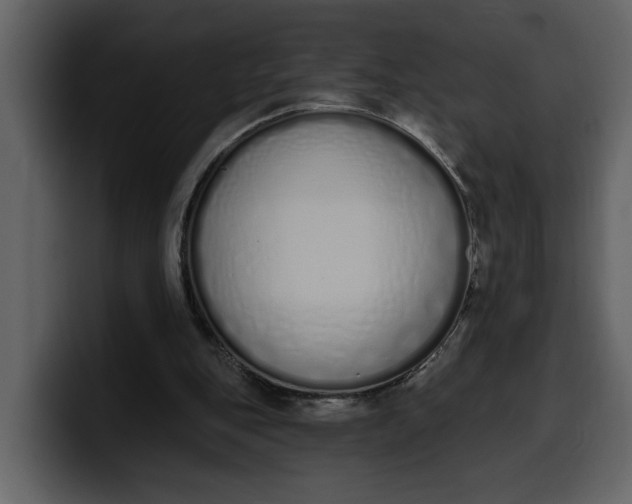 X0000100320151200806191010