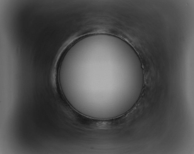 X0000100320152200806191010