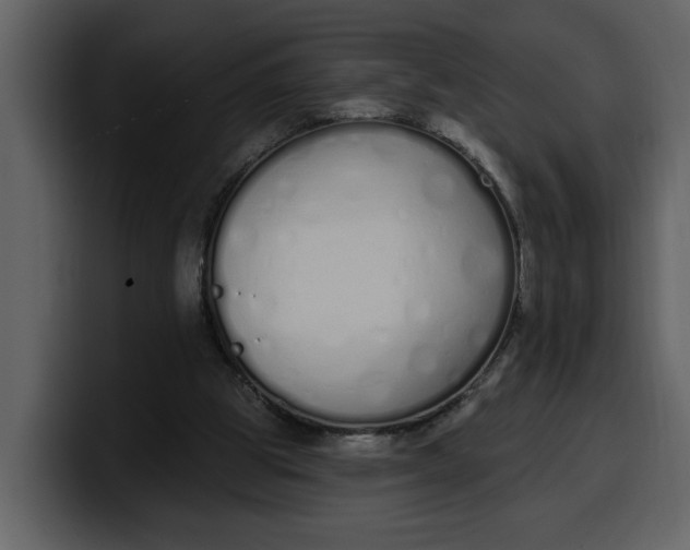 X0000100320153200806191010