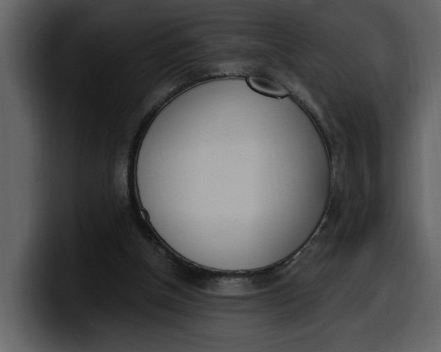 X0000100320154200806191010