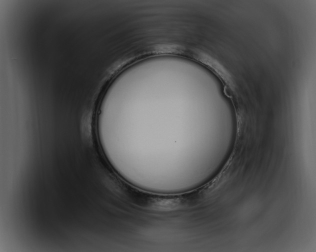 X0000100320155200806191010