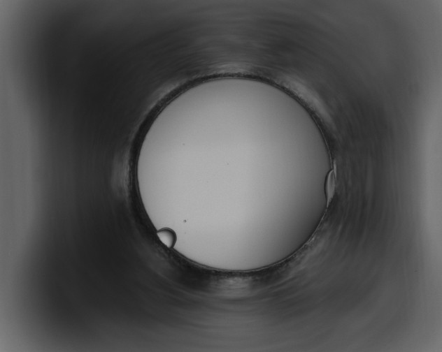 X0000100320156200806191010