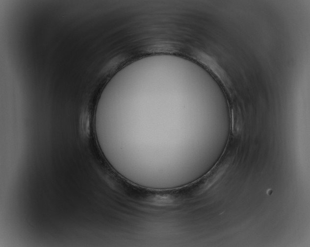 X0000100320157200806191010