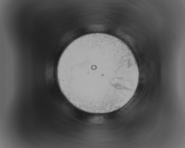 X0000100320162200806191010