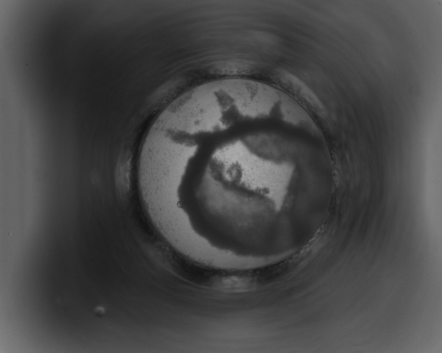 X0000100320163200806191010