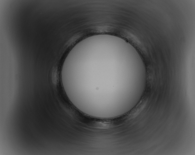 X0000100320164200806191011