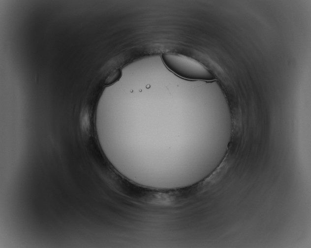 X0000100320166200806191011