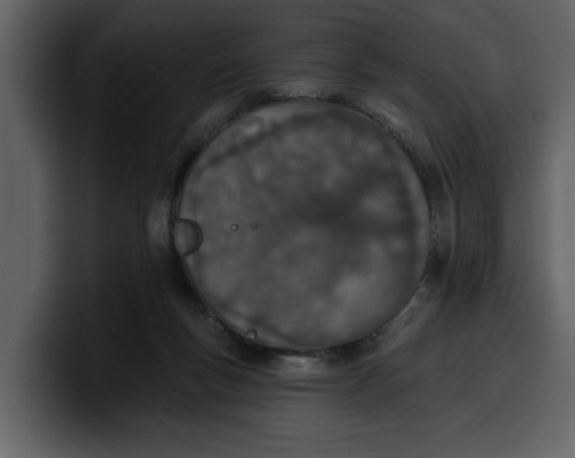 X0000100320167200806191011