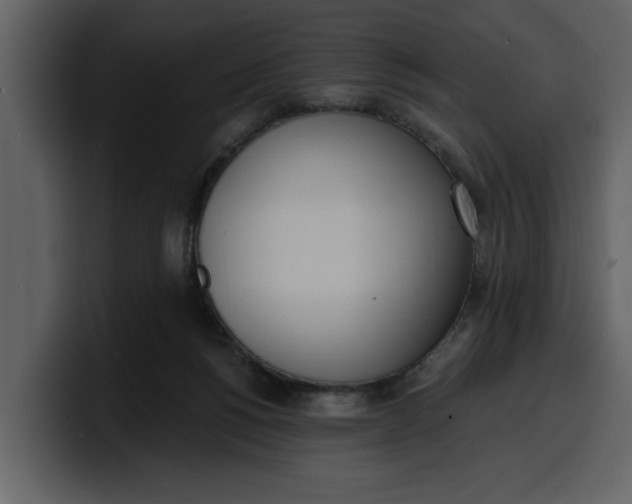 X0000100320168200806191011