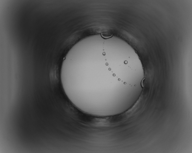 X0000100320170200806191011