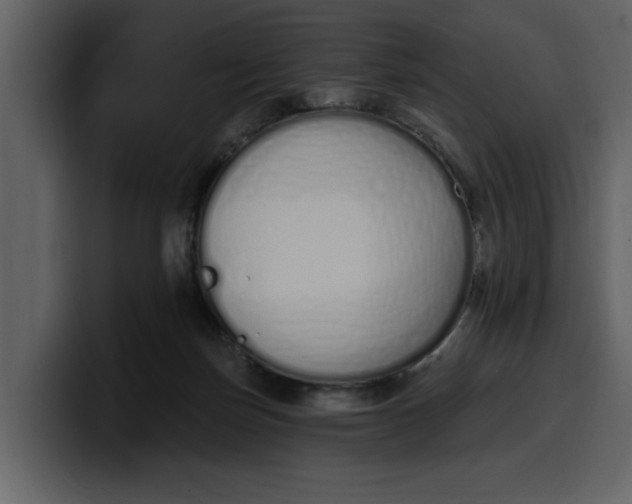 X0000100320171200806191011