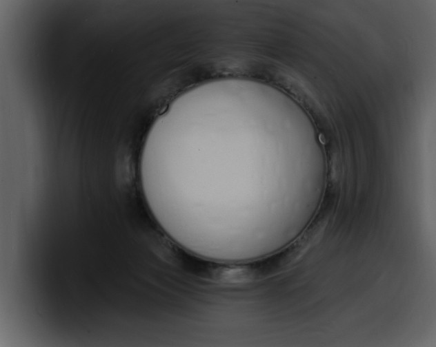 X0000100320173200806191011