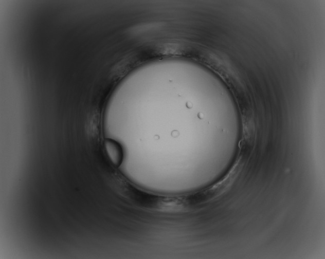 X0000100320175200806191011