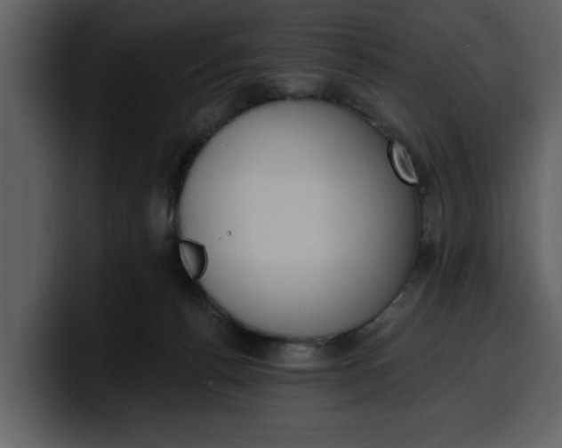 X0000100320176200806191011