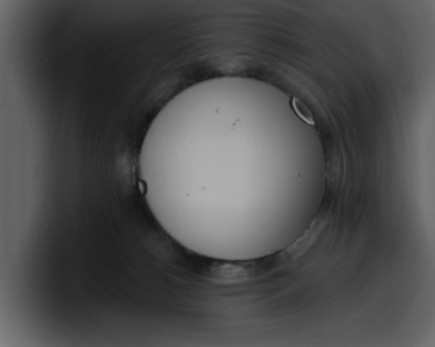 X0000100320180200806191011