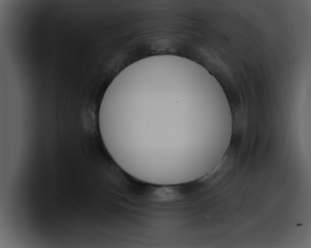 X0000100320183200806191011