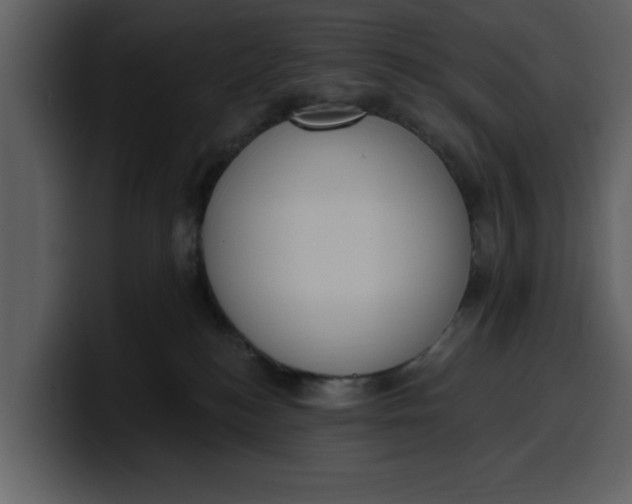 X0000100320184200806191011