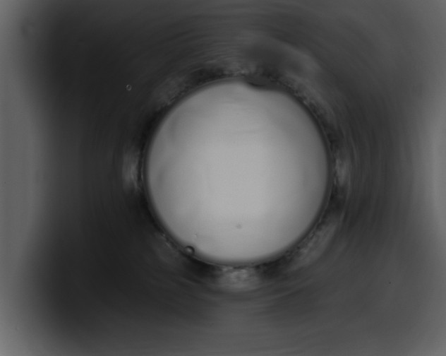 X0000100320185200806191011