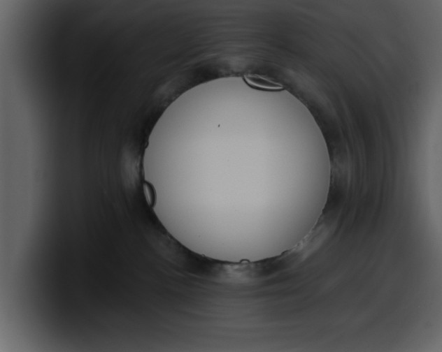 X0000100320188200806191011