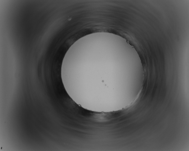 X0000100320190200806191011