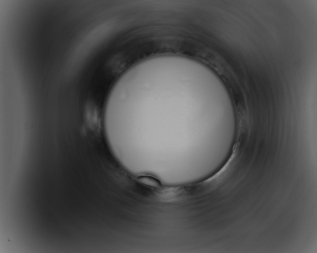 X0000100320191200806191011