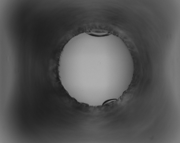 X0000100320192200806191011