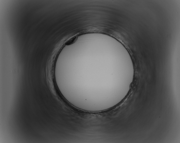 X0000100320193200806191010