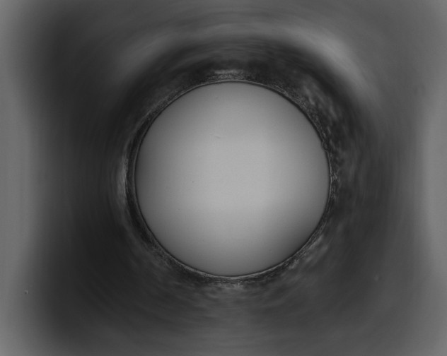 X0000100320194200806191010