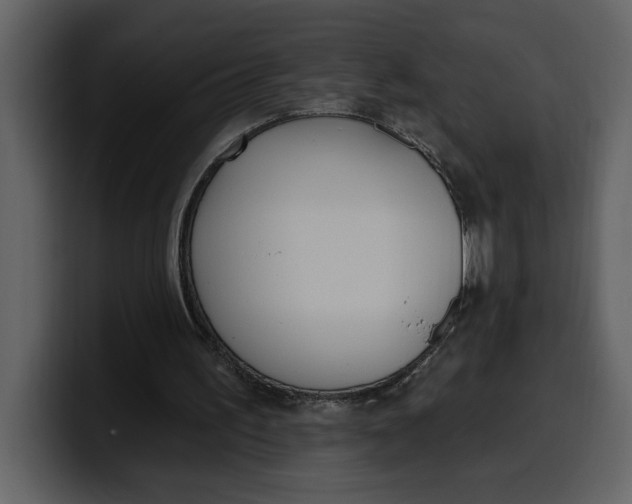 X0000100320195200806191010