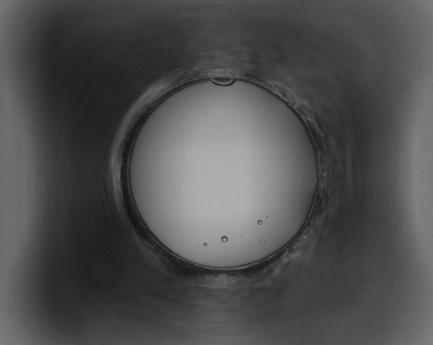 X0000100320197200806191010