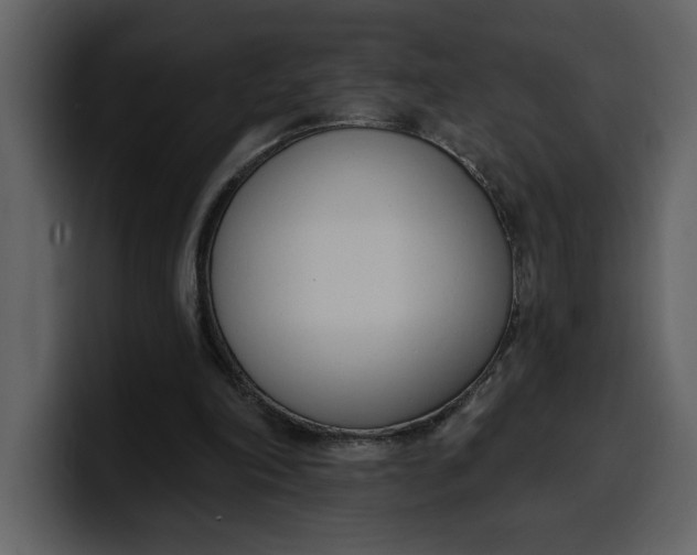 X0000100320198200806191010