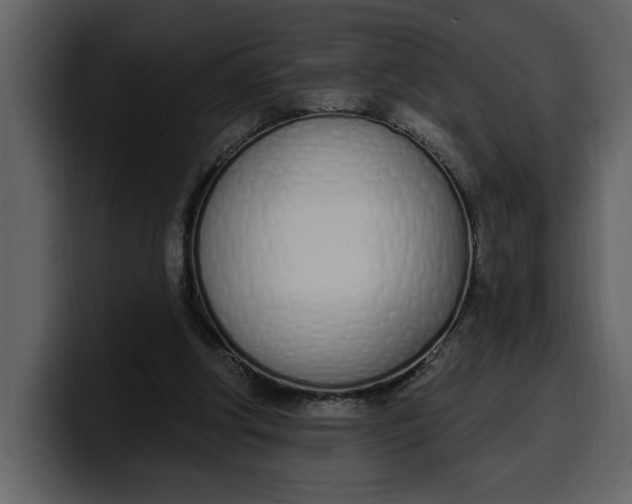 X0000100320202200806191010