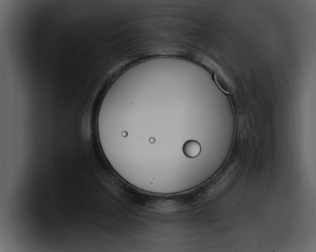 X0000100320203200806191010