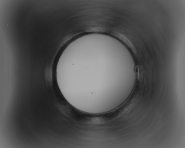 X0000100320204200806191010