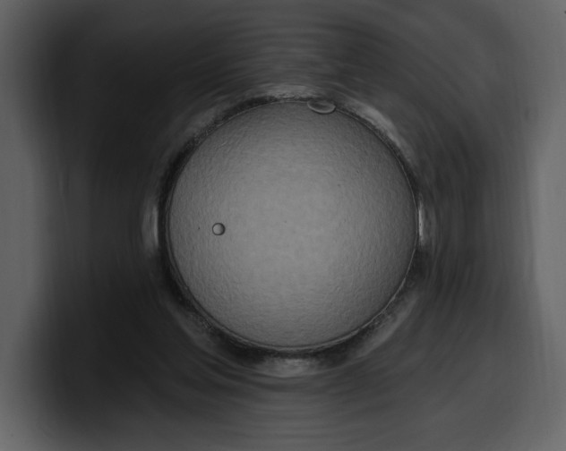 X0000100320205200806191010