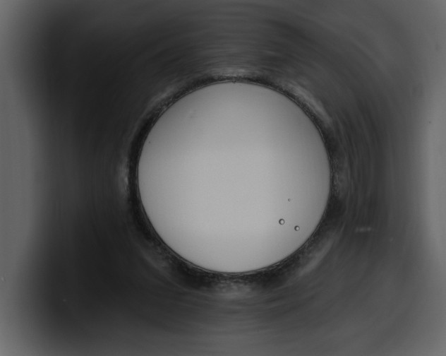 X0000100320207200806191010