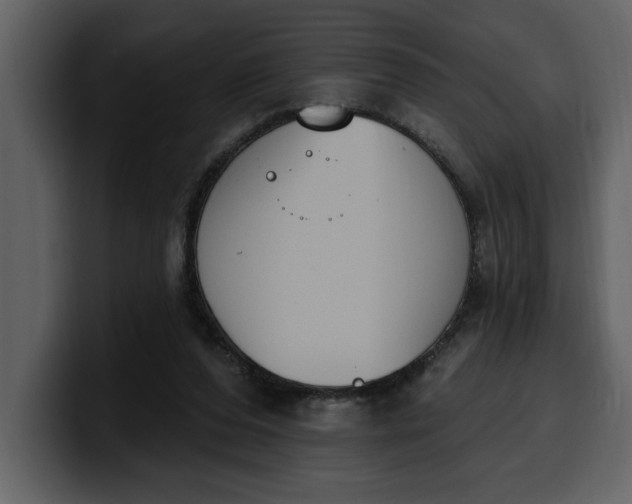 X0000100320208200806191010