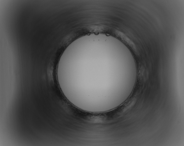 X0000100320209200806191010